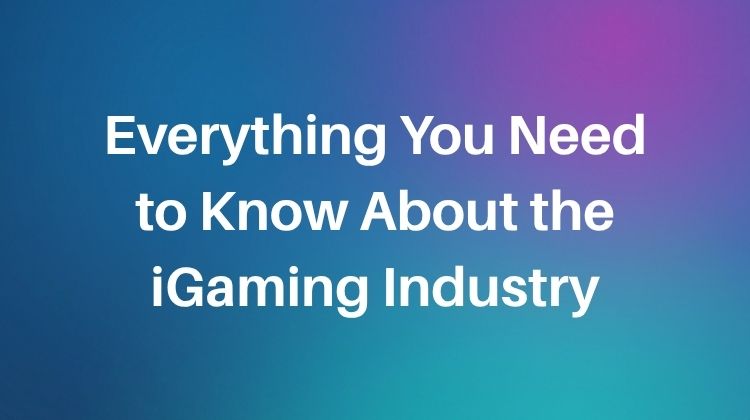 everything you need to know about the igaming industry